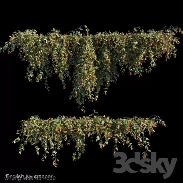 3DSKYFREE – PLANT - WALL 3DS MAX MODELS