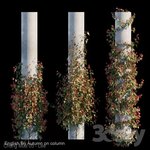 3DSKYFREE – PLANT - WALL 3DS MAX MODELS