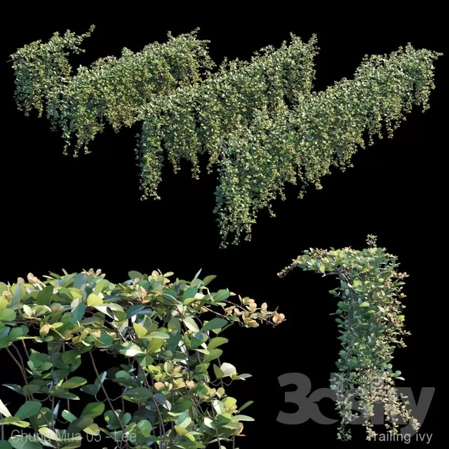 3DSKYFREE – PLANT - WALL 3DS MAX MODELS