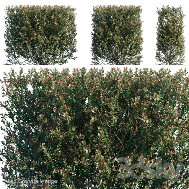 3DSKYFREE – PLANT - WALL 3DS MAX MODELS
