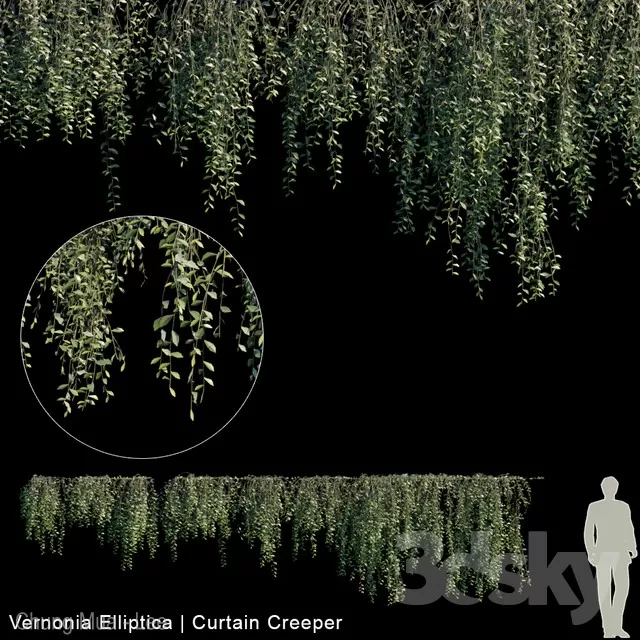 3DSKYFREE – PLANT - WALL 3DS MAX MODELS