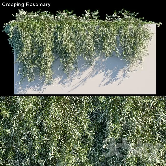 3DSKYFREE – PLANT - WALL 3DS MAX MODELS