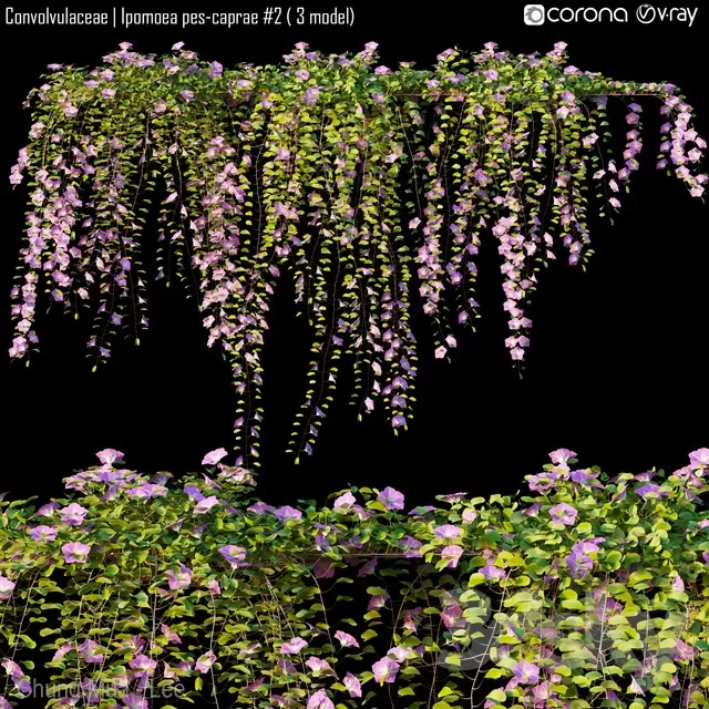 3DSKYFREE – PLANT - WALL 3DS MAX MODELS