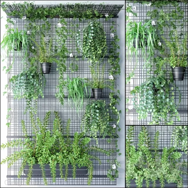 3DSKYFREE – PLANT - WALL 3DS MAX MODELS