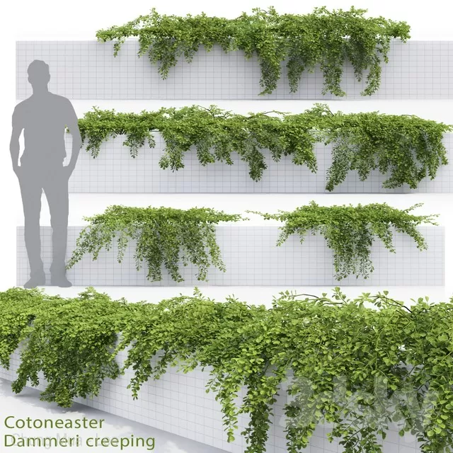 3DSKYFREE – PLANT - WALL 3DS MAX MODELS