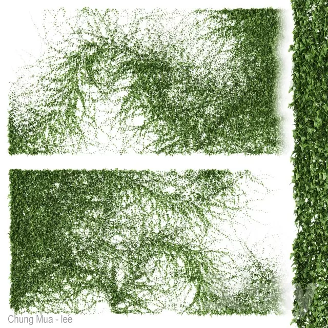 3DSKYFREE – PLANT - WALL 3DS MAX MODELS