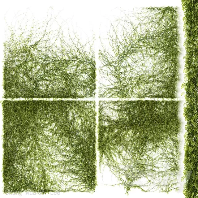 3DSKYFREE – PLANT - WALL 3DS MAX MODELS