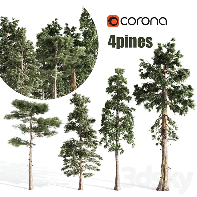 4 pines 3DModel