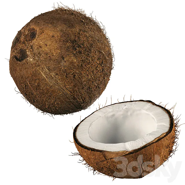 4k coconut 02 3D Model