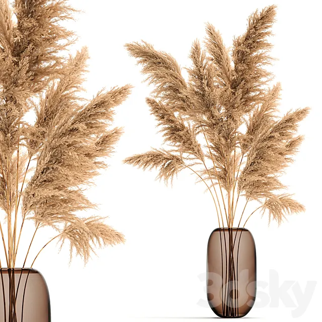 A beautiful lush bouquet of dried flowers in a vase with dry branches of pampas Cortaderia reed. 140. 3D Model