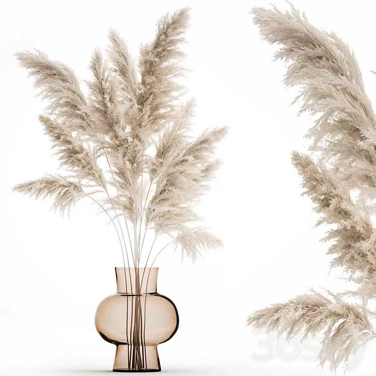A beautiful lush bouquet of dried flowers in a vase with dry branches of pampas Cortaderia white reeds. 150. 3D Model Free