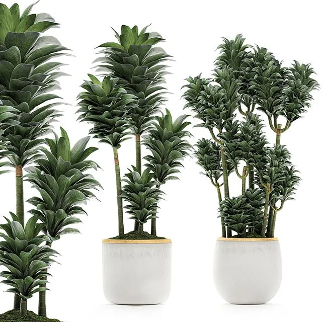 A beautiful small decorative flower Set 533 3D Model