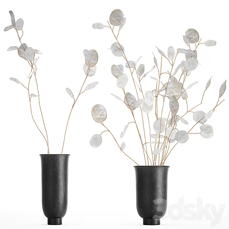 A bouquet of dried flowers in a black vase with branches of a dry Lunnik. 178. 3D Model
