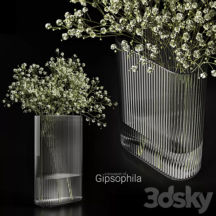 A bouquet of gypsophila 3D Model