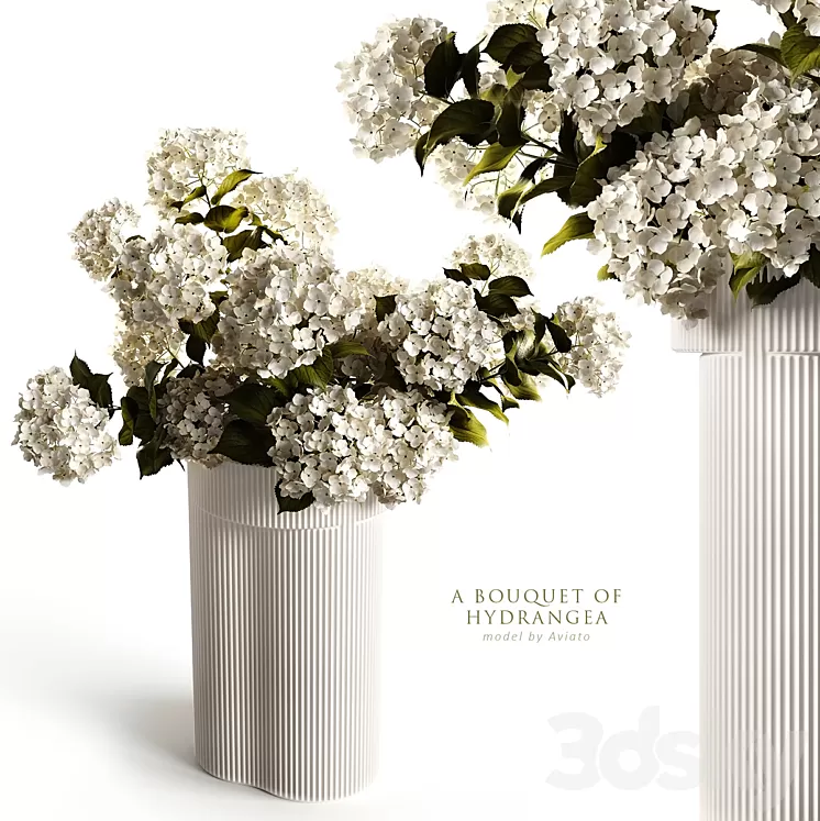 A bouquet of hydrangea 2 3D Model
