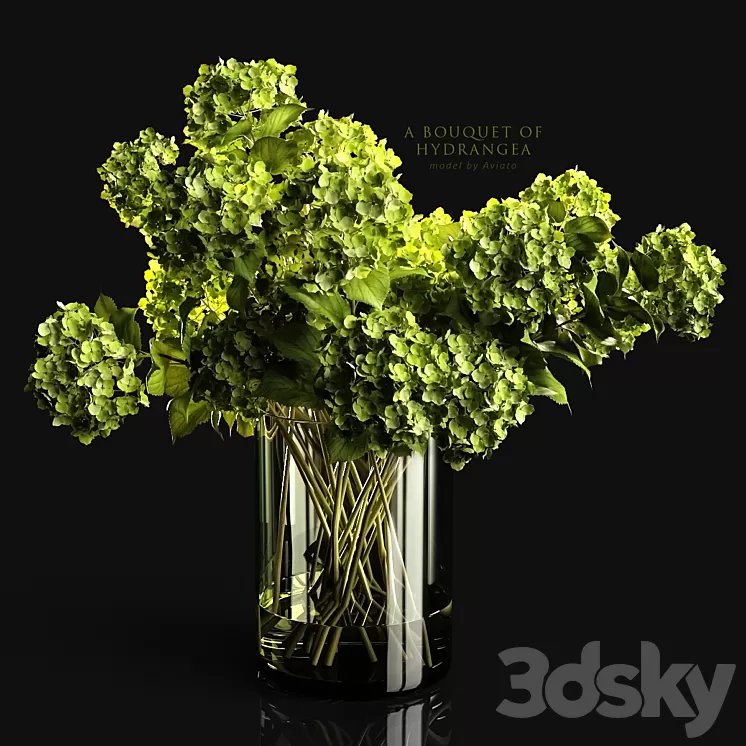 A bouquet of hydrangea 3D Model