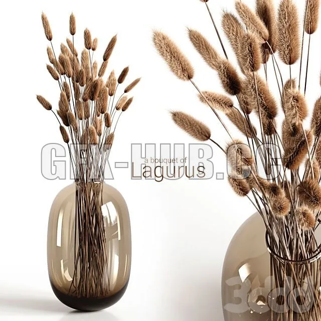 A bouquet of lagurus 3D Model