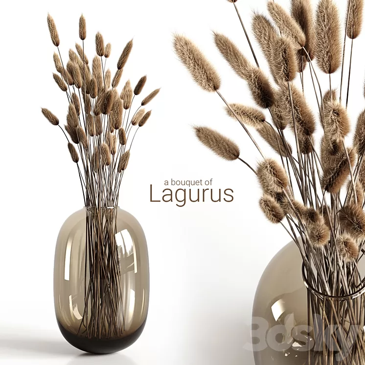 A bouquet of lagurus 3D Model