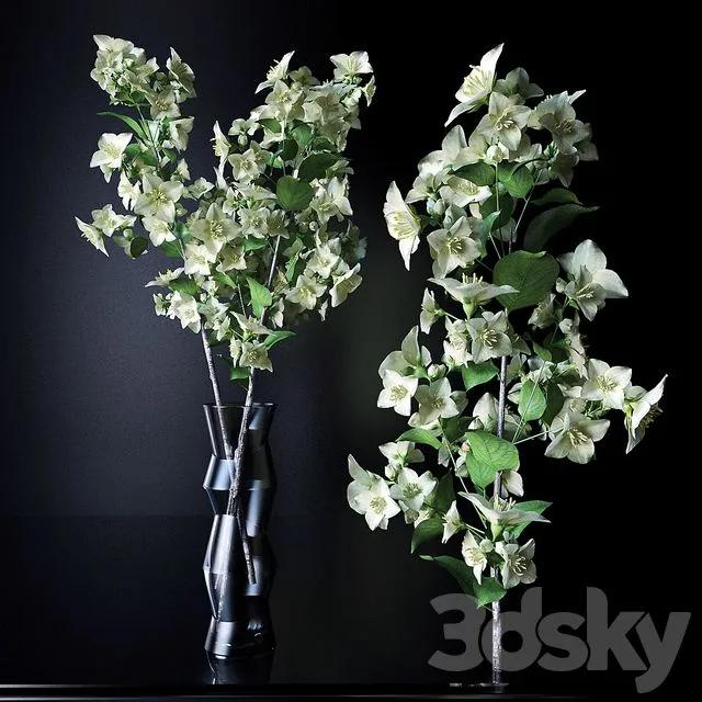 A branch of jasmine 3D Model