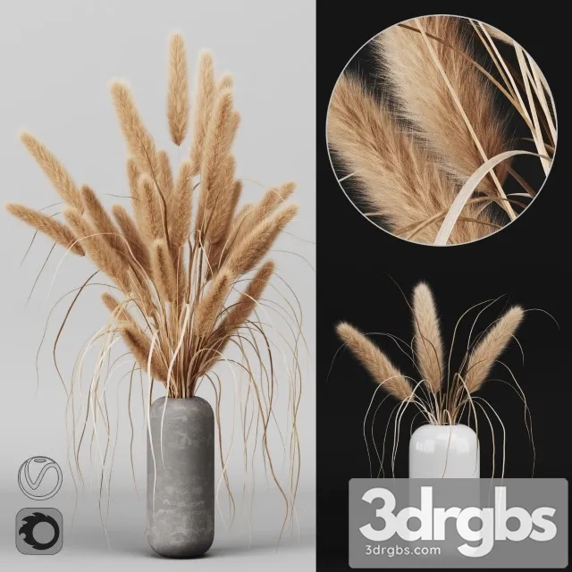 A Bunch of Pampas 2 3D Model Free