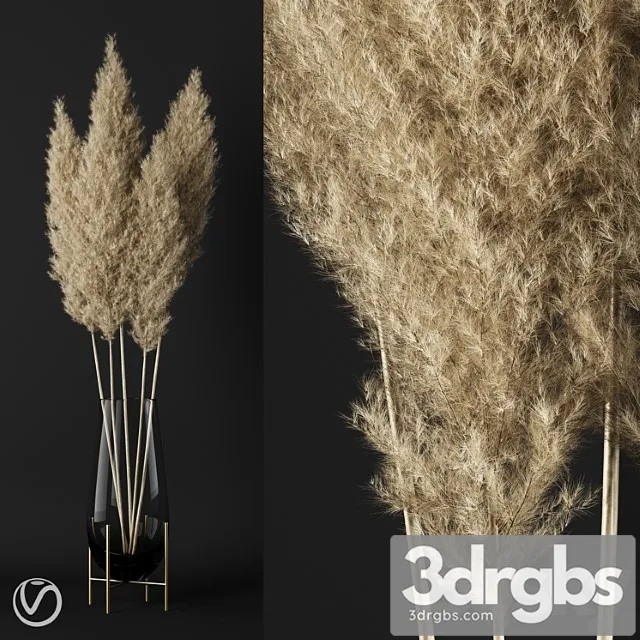 A Bunch Of Pampas 3 3D Model Free