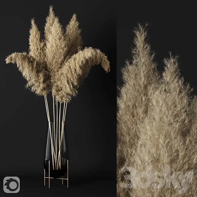 A bunch of pampas 3D Model