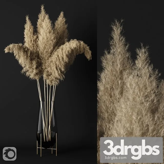 A Bunch Of Pampas 3D Model Free