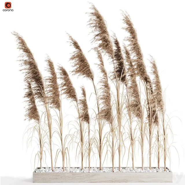 A bunch of Pampas 8 3D Model