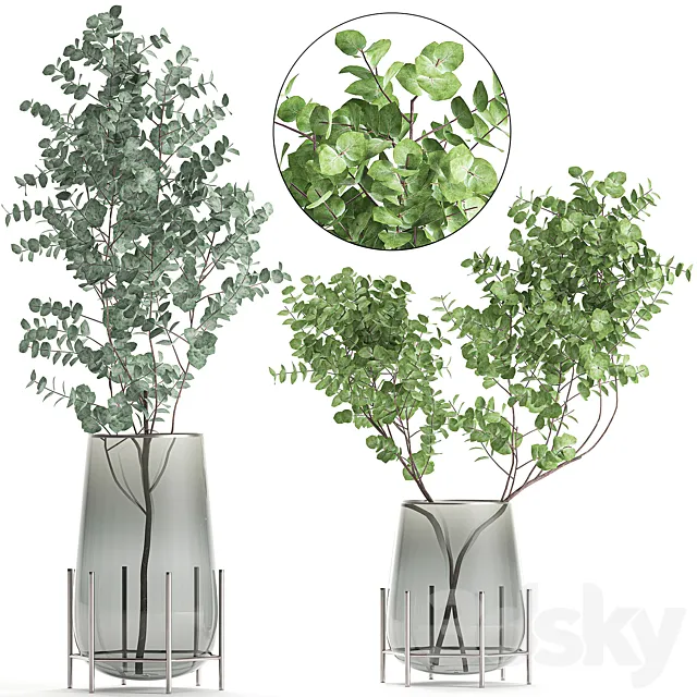 A collection of beautiful bouquets of branches with Eucalyptus leaves in a shelved vase. Set of 100. 3DModel