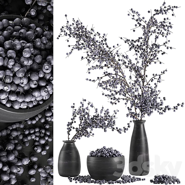 A collection of bouquets of branches with blueberries in black vases with blueberries. a bowl with berries. natural decor. Set 549. Free Download