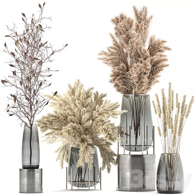 A collection of bouquets of dried flowers in glass vases with Pampas branches Cortaderia pampas grass reeds. Set 103. 3D Model