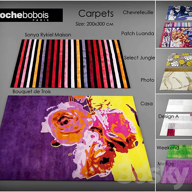 A collection of carpets of Roche Bobois 3DModel