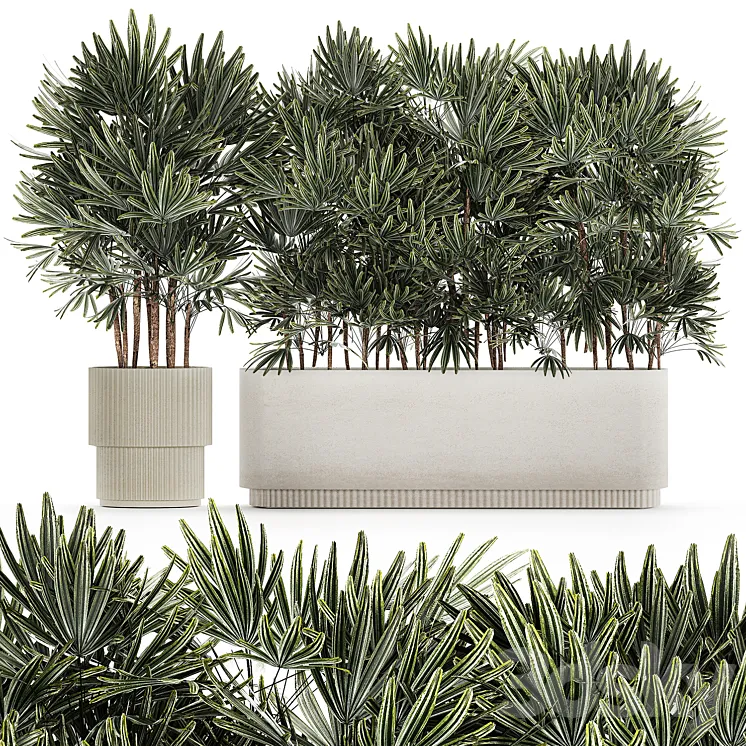 A collection of lush bushes of thickets of plants in modern white pots with palm Rhapis. Set 1356. 3D Model Free