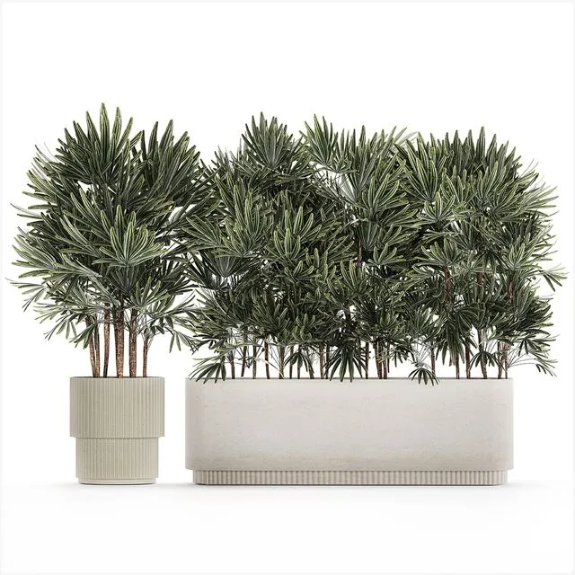 A collection of lush bushes Set 1356 3D Model