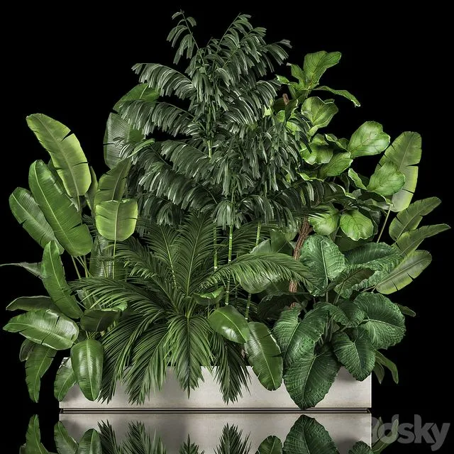 A collection of plants for a home garden 1114 3D Model