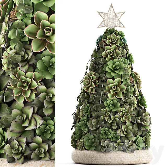 A collection of plants in a composition of succulents. Christmas tree. cake. Echeveria. decoration for the new year. Set 420. 3DModel