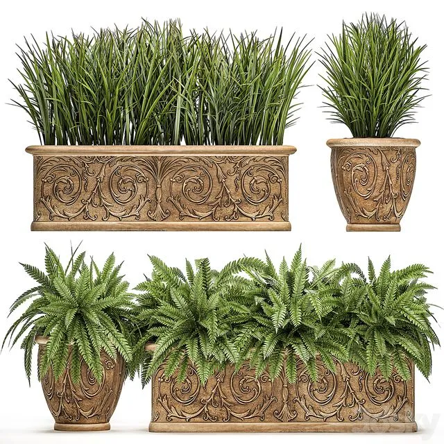A collection of plants in classic outdoor pots Set 496 3D Model
