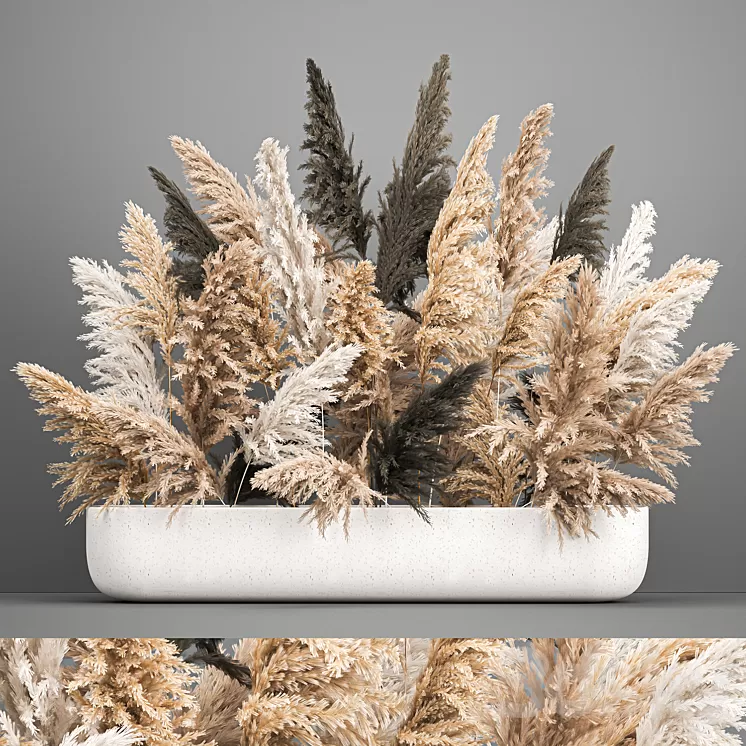 A large lush bouquet of dried flowers in a vase with pampas branches Cortaderia. 186. 3D Model