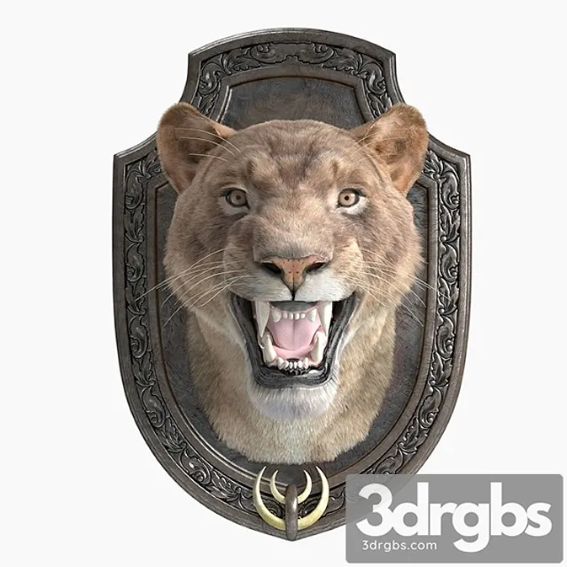 A lion 3D Model Free