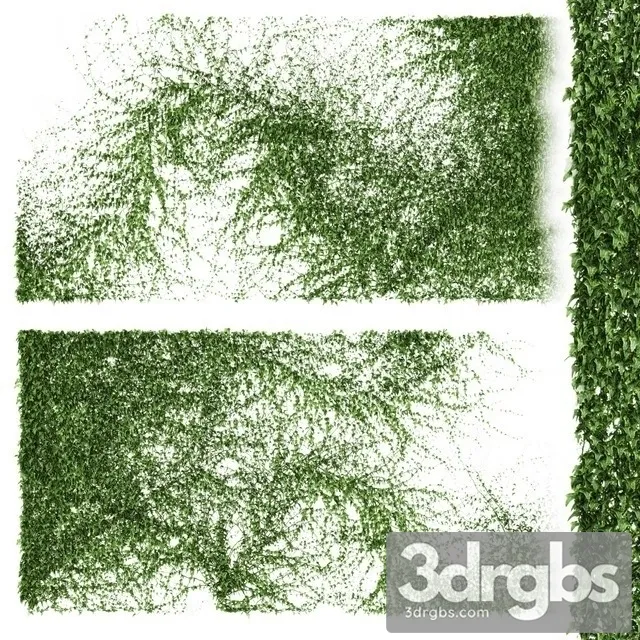 A Long Wall Ivy  3D Model Free