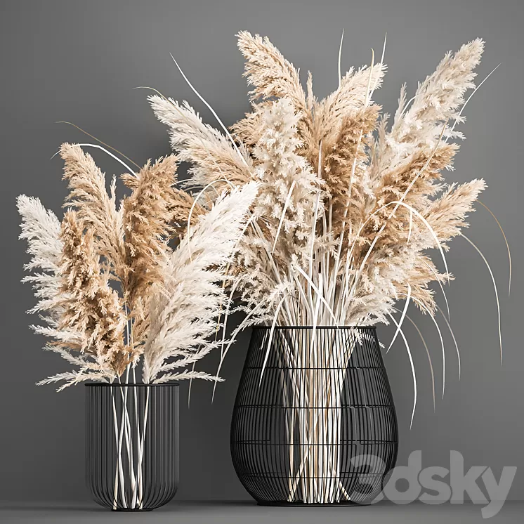 A lush bouquet of dried flowers in a basket with pampas Pampas grass Cortaderia a branch. 192. 3D Model