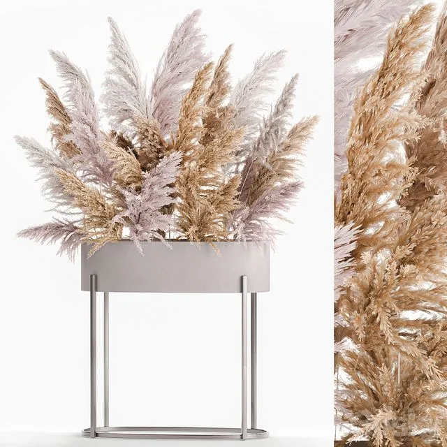 A lush bouquet of dried flowers with pink pampas grass a vase of Cortaderia branches. 190 3D Model