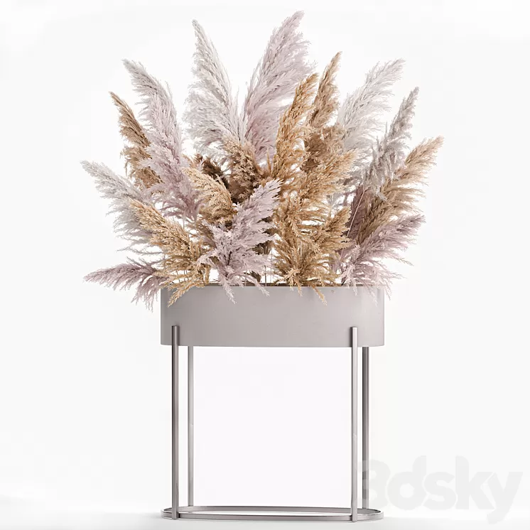 A lush bouquet of dried flowers with pink pampas grass a vase of Cortaderia branches. 190. 3D Model