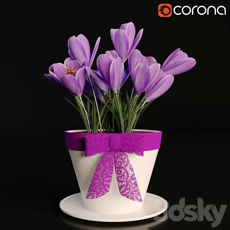 A pot of crocuses