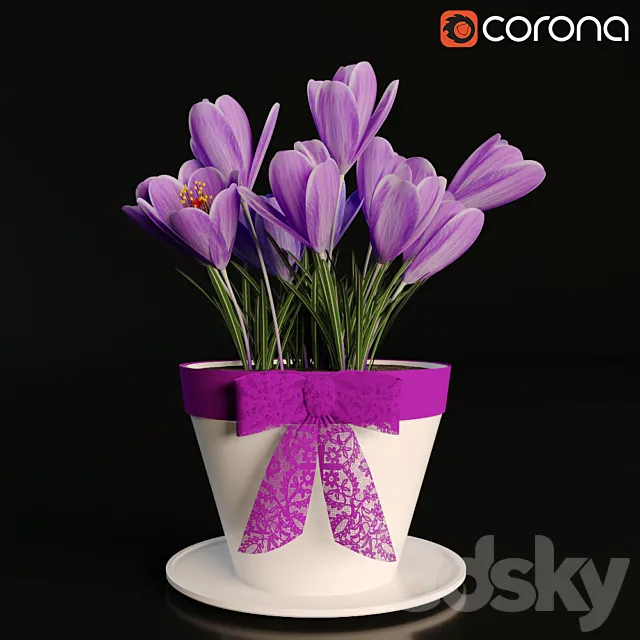 A pot of crocuses 3DModel
