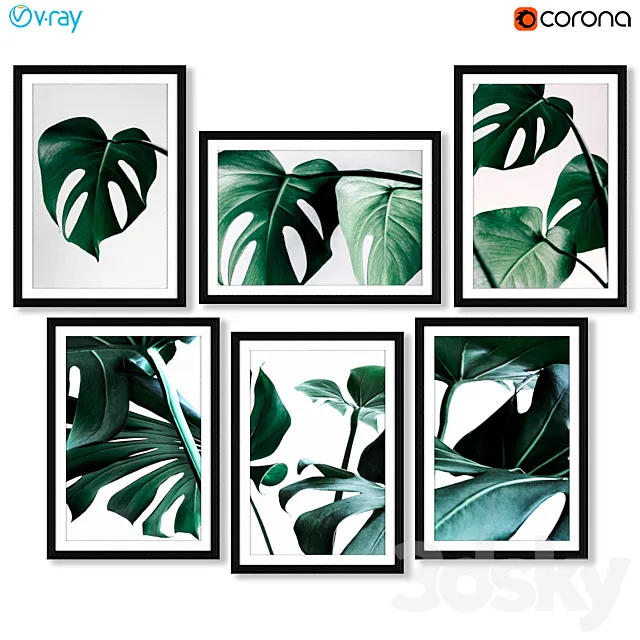 A series of posters with a Monster plant (Monstera) 3D Model