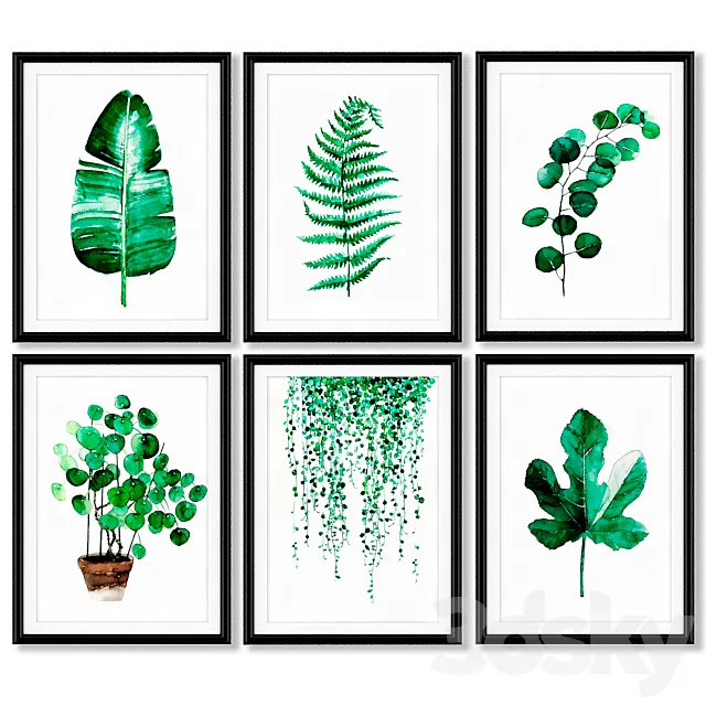 A series of posters with tropical plants. 3D Model