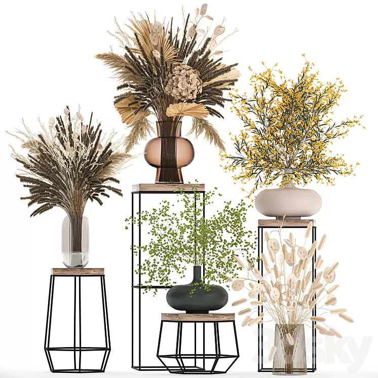A set of bouquets of dried flowers in vases for decoration on shelves branches pampas grass. 216. 3D Model Free