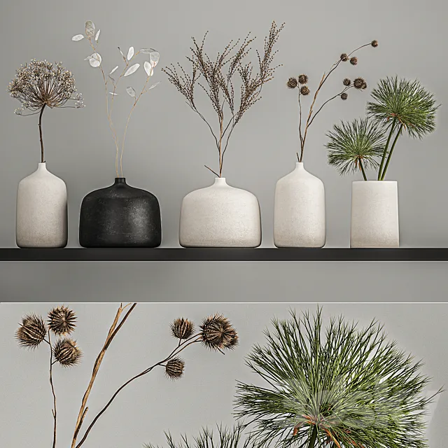 A set of bouquets of dried flowers in vases on the shelf with branches thorns lunnik hogweed. 210 Free Download