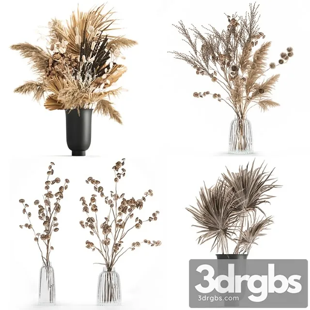 A Set of Flower Bouquets In Vases Of Dried Flowers palm Branch Pampas Grass Reed Grass Hydrangea Thorns 283 3D Model Free